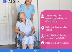 Zdravotné a praktické sestry v domove dôchodcov, Rakúsko