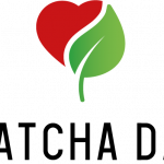 matcha_day - logo